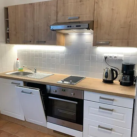U Rybnika Apartment Libín
