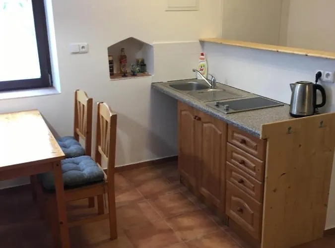 Apartment U Rybnika Libín