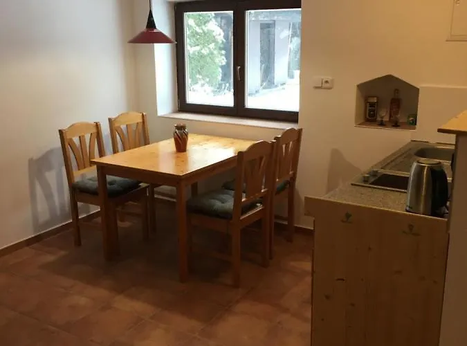 U Rybnika Apartment Libín
