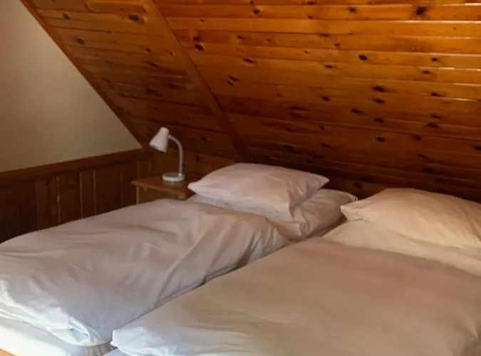 U Rybnika Apartman *